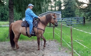 July 2014 Finishing the Side Pass from the Saddle