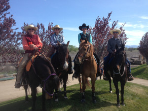 Photo 2014 horse expo, courtesy of ABHA