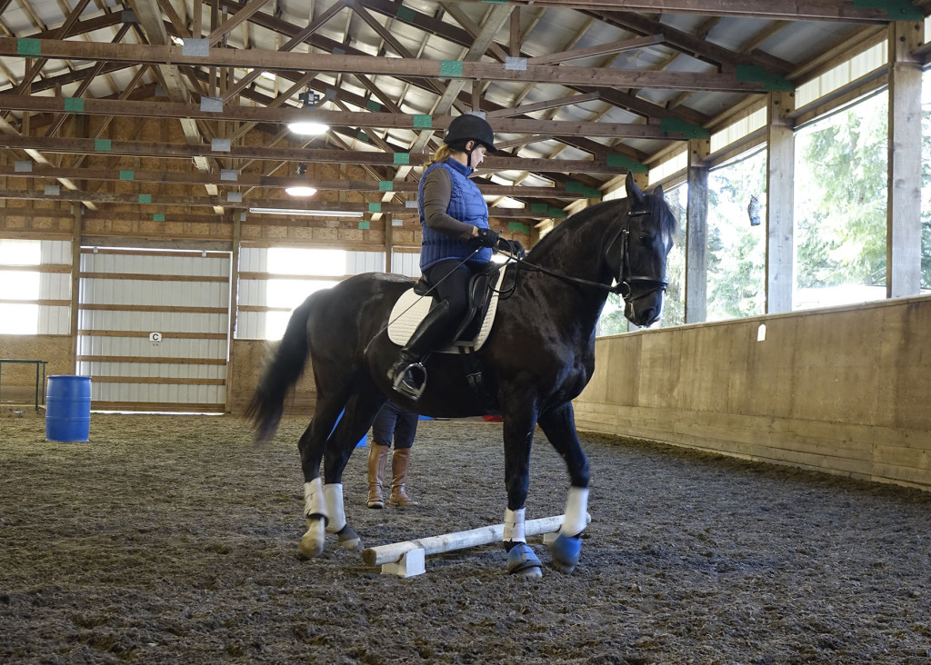 Dressage prepares the working equitation horse to be agile and maneuverable.