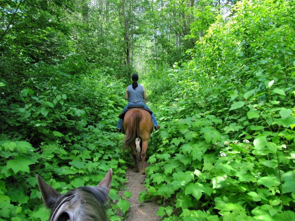 Trail Riding Gina Beau National Forest