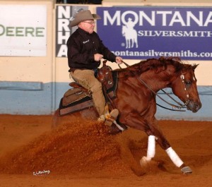 National Reining Horse Association