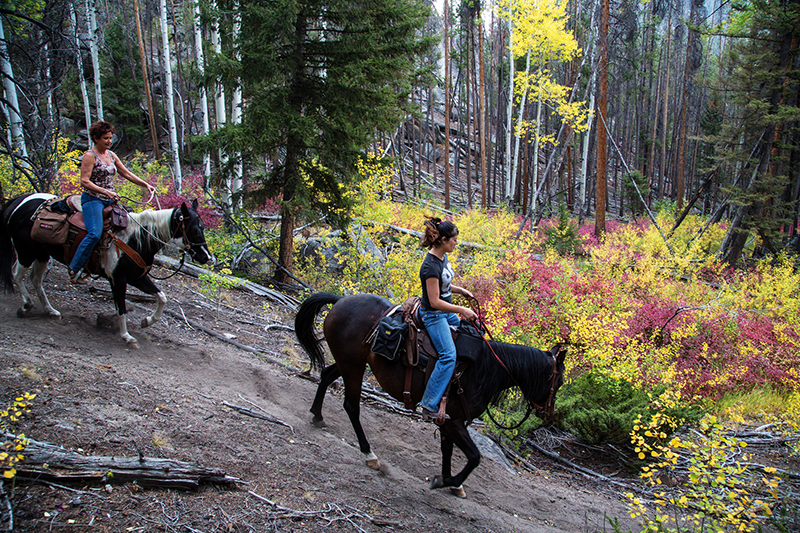 Back Country Horsemen of America