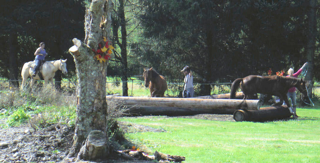 Fire Mountain Trail Course