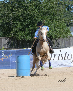 Working Equitation