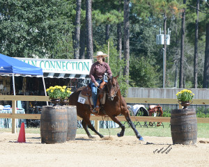 Working Equitation