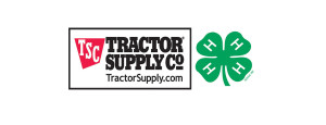 4-H Paper Clover campaign