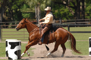 Northwest Horse Fair & Expo
