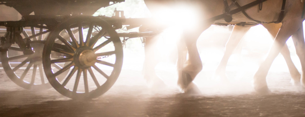 Everlasting Photography by Lynde Dorscher