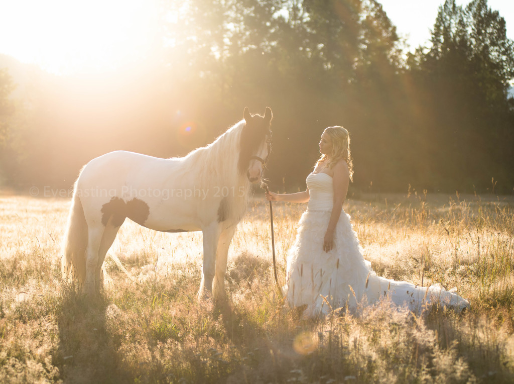 Everlasting Photography by Lynde Dorscher