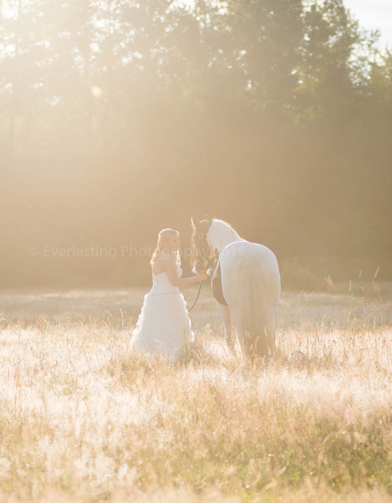 Everlasting Photography by Lynde Dorscher