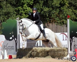 Working Equitation