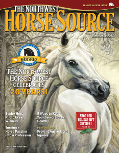 Dec 2015 Cover Smaller