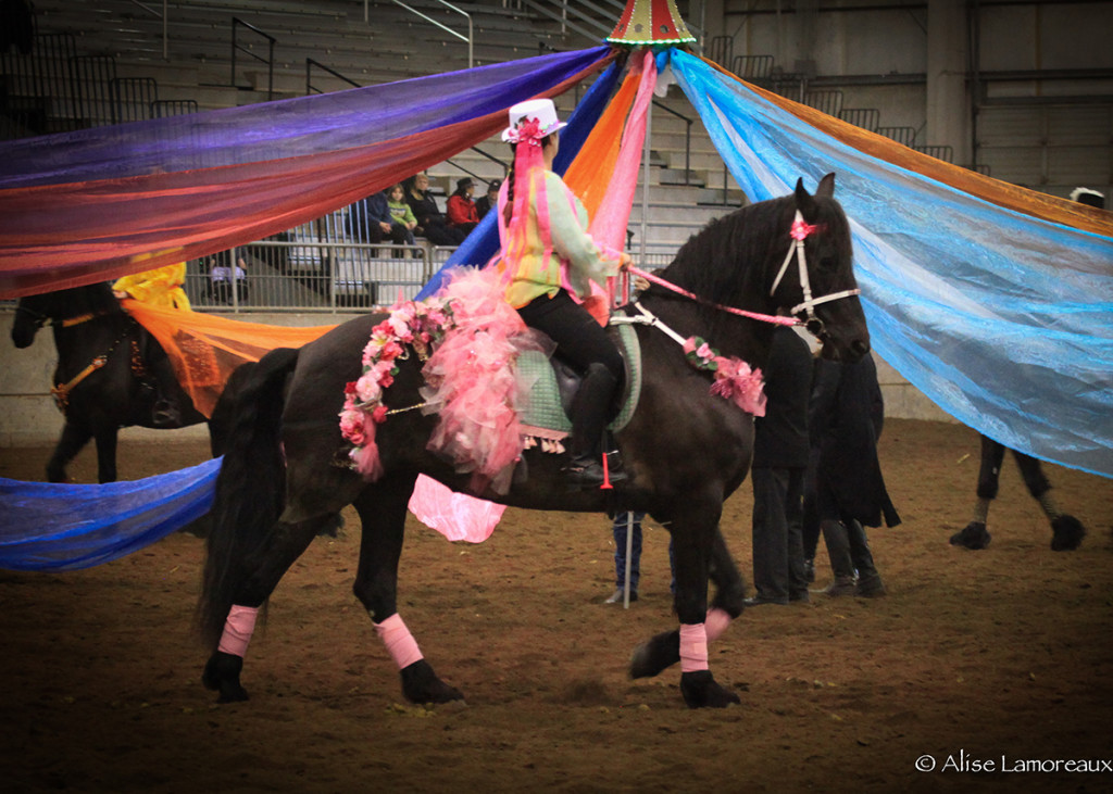 Northwest Horse Fair and Expo