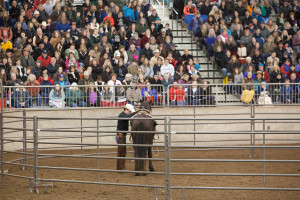Northwest Horse Fair & Expo