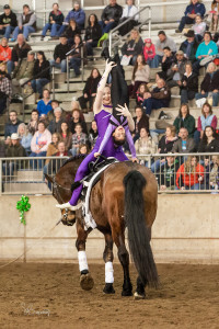 Northwest Horse Fair & Expo