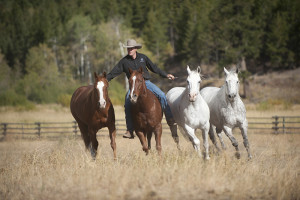 western