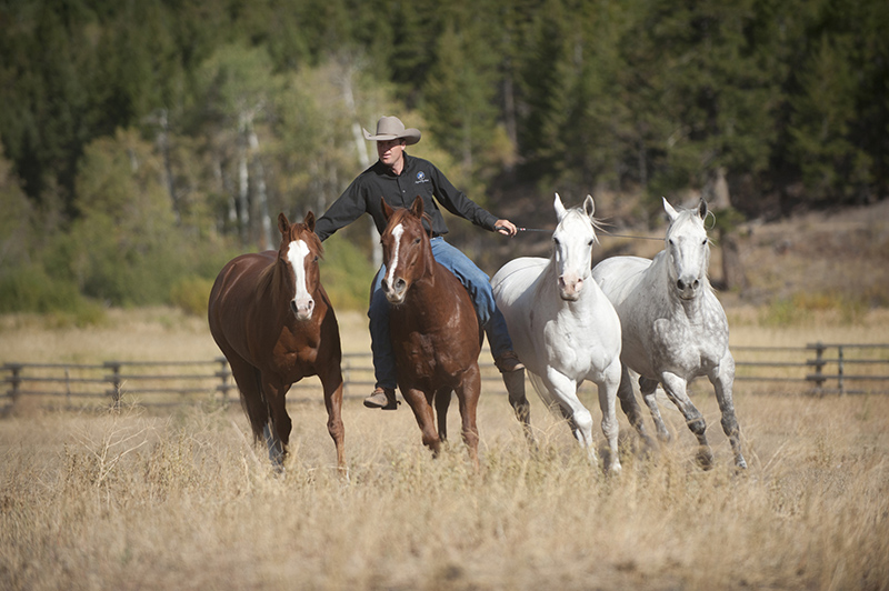 western