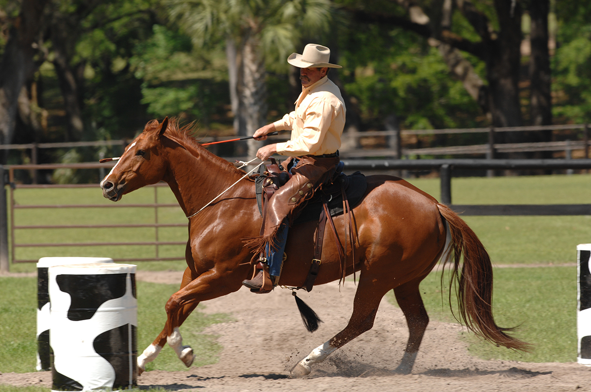 Northwest Horse Fair & Expo