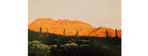Arizona