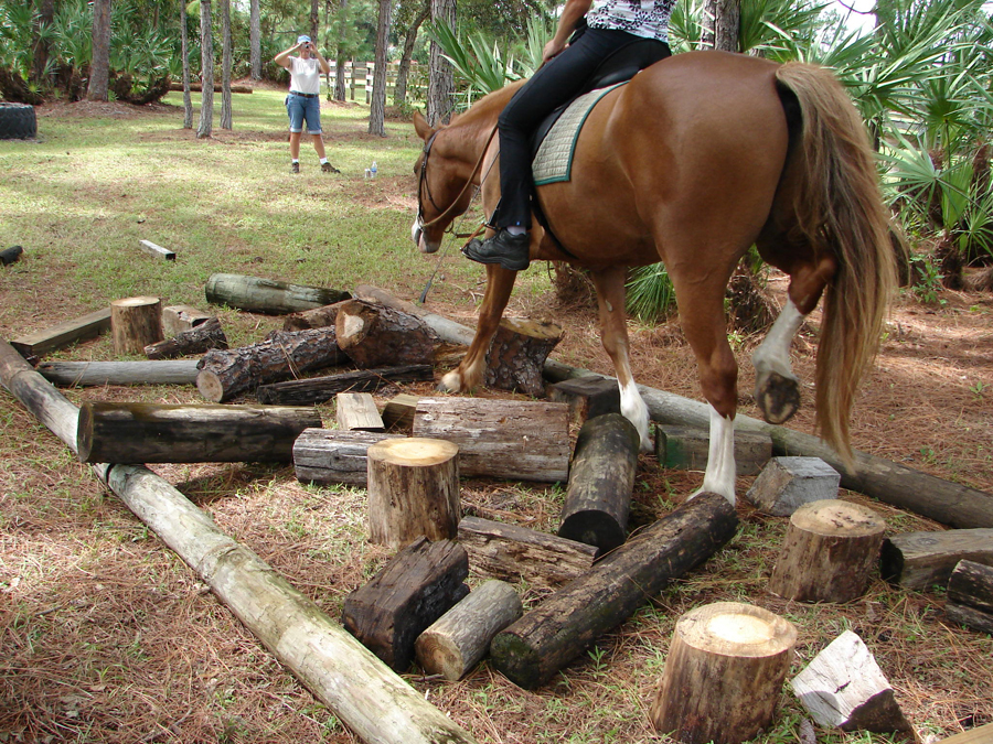 Log Obstacles