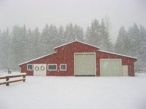 season