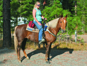 trail horse