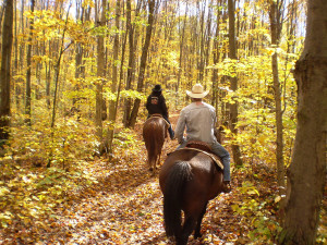 horsemanship experience
