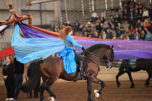 BlackPearl Carousel Blue dress NWHF16 IMG_5289-2