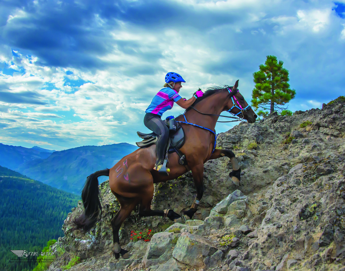 Endurance Riding