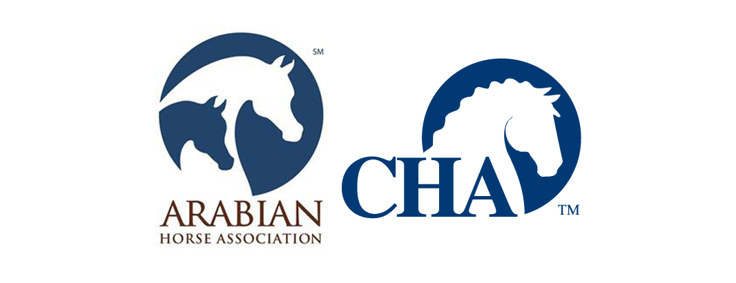 Educational Alliance