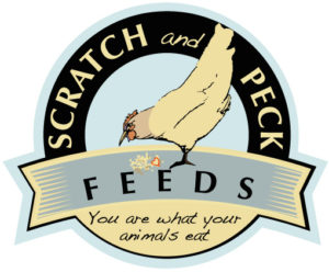 Animals as Natural Therapy