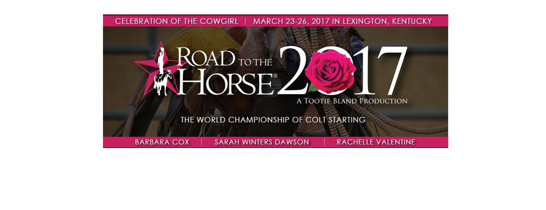 Road to the Horse