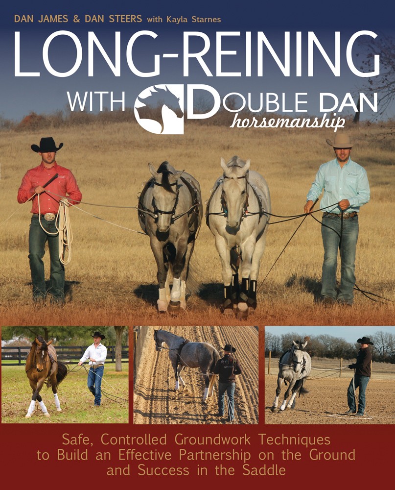 long-reining double dan horsemanship