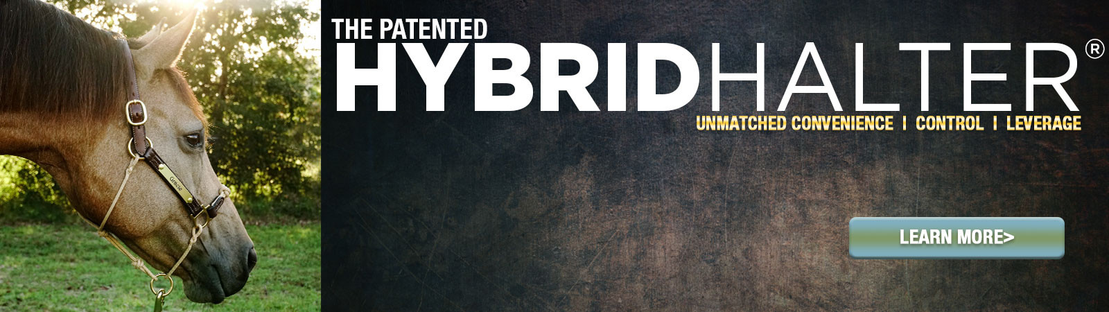 hybrid-halter-slider Hybrid Halter®