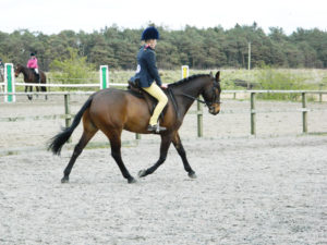 horse_rider Myler
