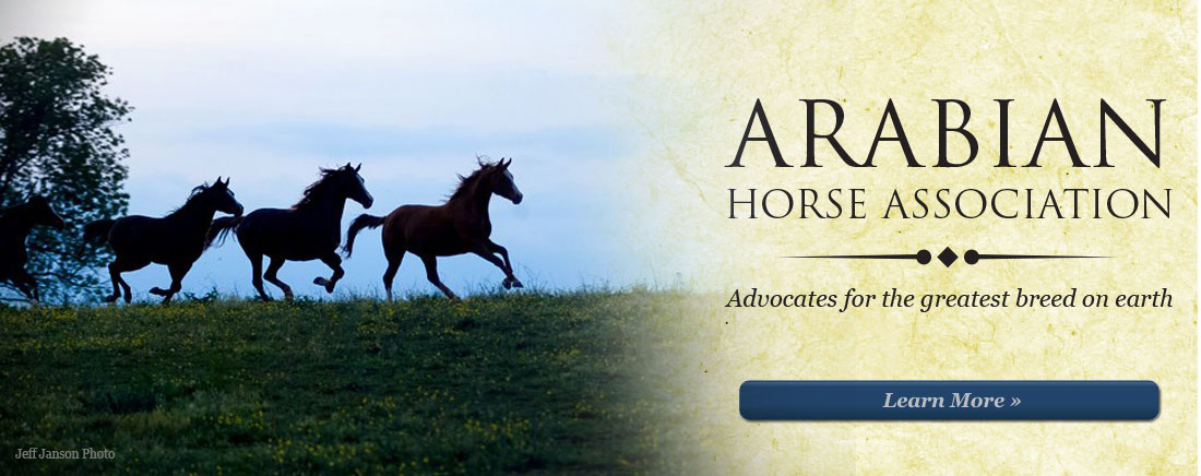 Arabian Horse Association