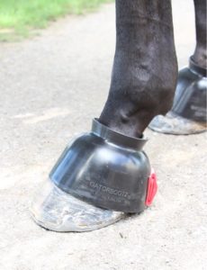 gatorbootz-for-pr Bell