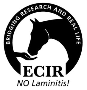 ECIR