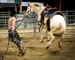 Colt Starting Challenge