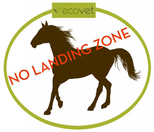 No Landing Zone