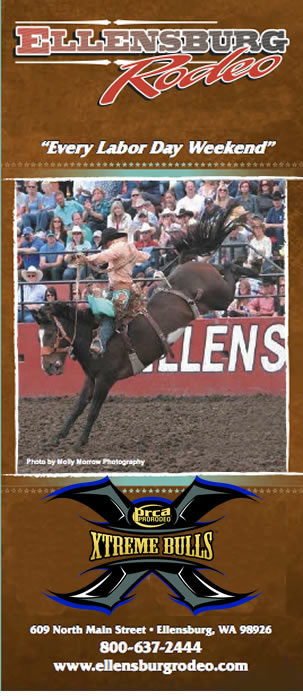 Xtreme Bulls