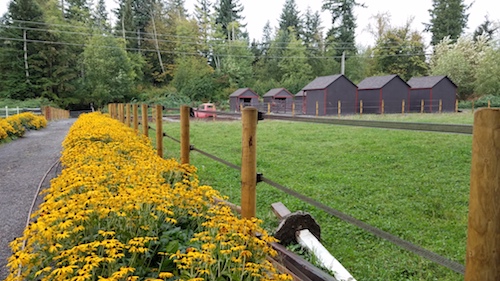 August 2017