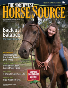 November 2017 Digital Edition