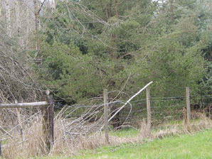 Months of snow, wind and rain can take a toll on fences.