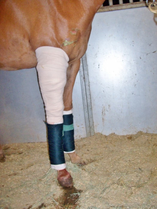 wound