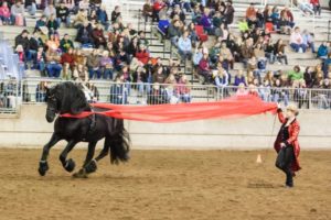 Northwest Horse Fair 2018