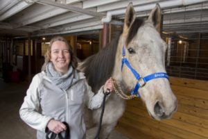 Equine Stem Cells Rein in Bacteria