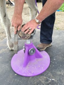 Hoofjack®