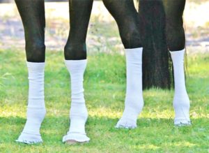 Sox for Horses