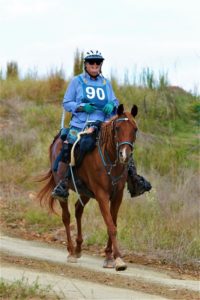 Arabian the Top NATRC Horse in 2017